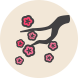 content_icon