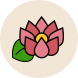 content_icon
